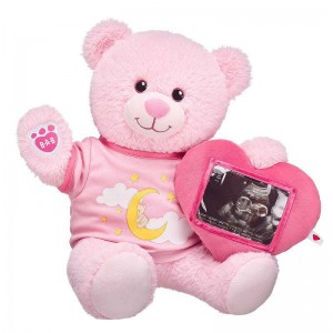 Build-A-Bear Baby Pink Teddy Bear Picture Frame Gift Set Congratulations Gifts | IYHNV2893