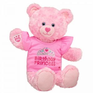 Build-A-Bear Birthday Princess Gift Set Birthday Gifts | DPNML5374