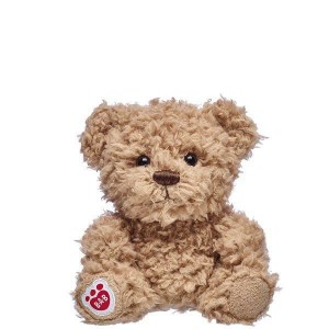 Build-A-Bear Buddies Timeless Teddy Buddies | SRZMN0845