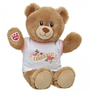 Build-A-Bear Lil' Cub Brownie Congrats Gift Set Congratulations Gifts | FTWIY2305