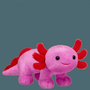 Build-A-Bear Love You Alotl Axolotl Valentines Day | QBRZH6810