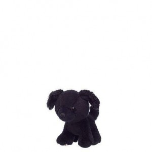 Build-A-Bear Promise Pets Mini Black Puppy Buddies | LDEHQ3406