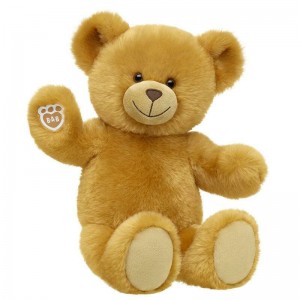 Build-A-Bear Read Teddy Teddy Bears | HTVZS6237