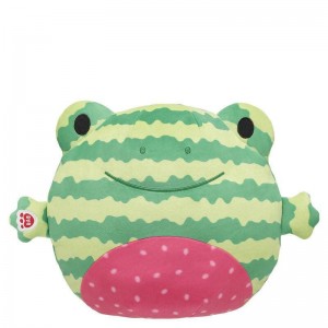 Build-A-Bear SKOOSHERZ™ Watermelon Frog Stuffed Animal Skoosherz | IUXBN7036