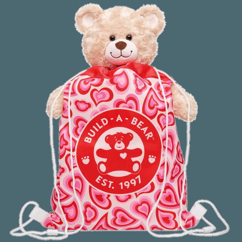 Build-A-Bear Groovy Hearts Bear Carrier Valentines Day | QNCOW3907